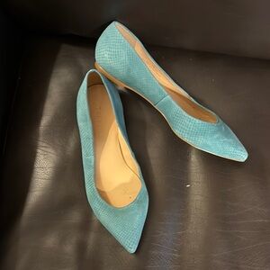 Elegant Blue Pointed Flats